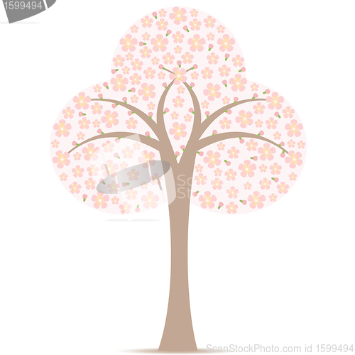 Image of  Blossom Tree