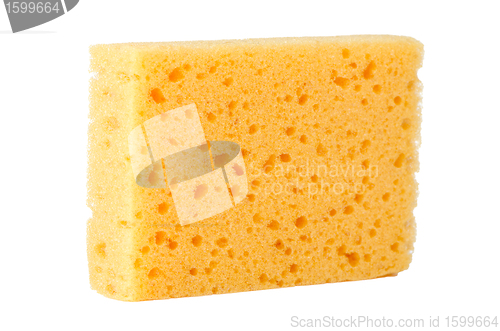 Image of Yellow sponge