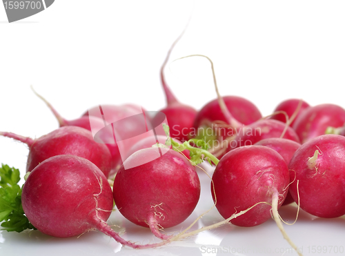 Image of Fresh Radish