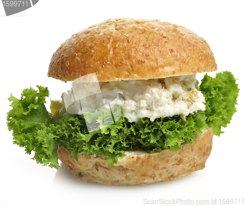 Image of Chicken Salad Sandwich