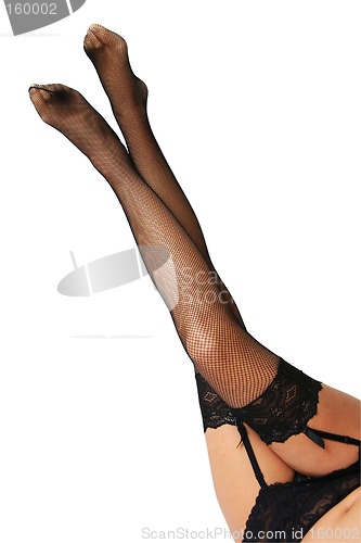 Image of Sexy Legs