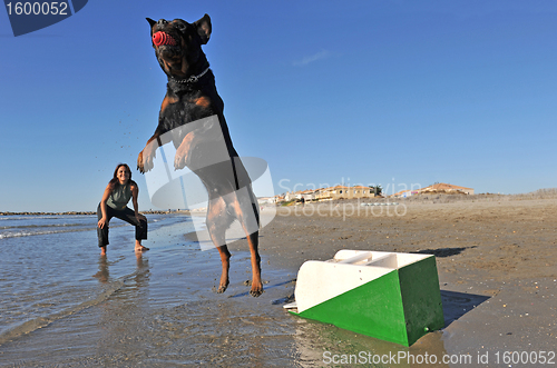 Image of flyball on the beach