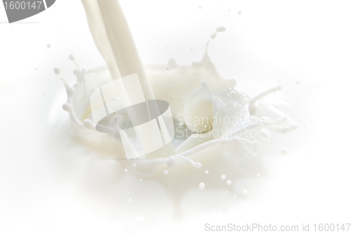 Image of milk splash