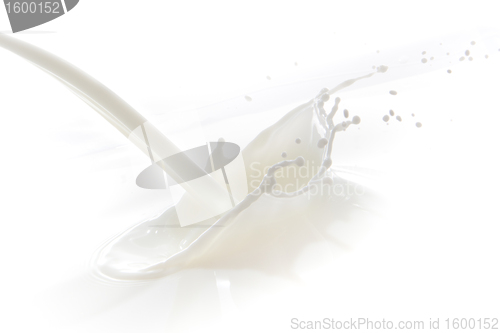 Image of milk splash