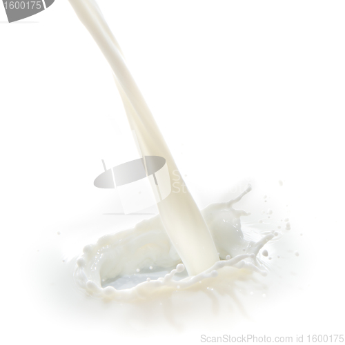 Image of milk splash