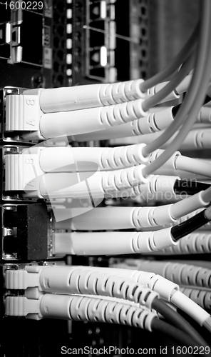 Image of network cables