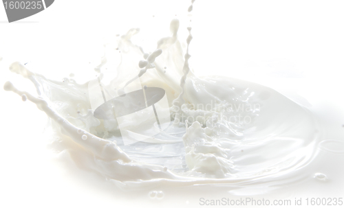 Image of milk splash