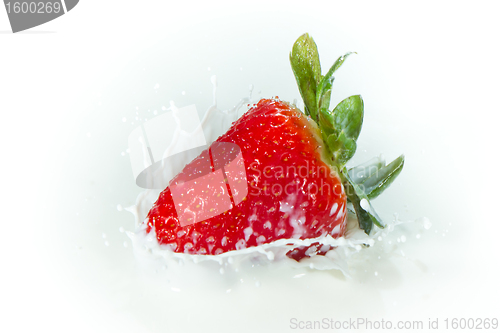 Image of strawberry splashing into milk