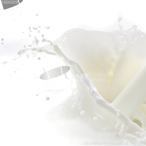 Image of milk splash