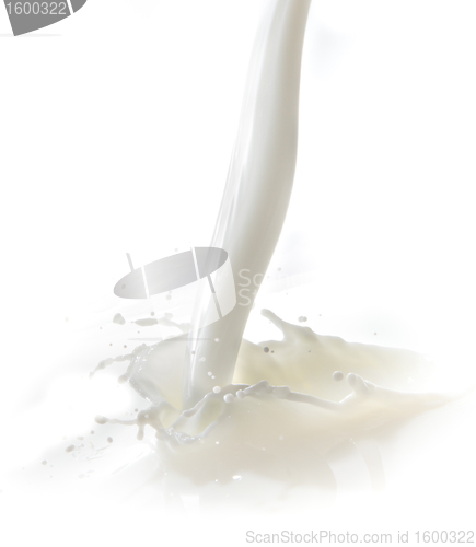 Image of milk splash