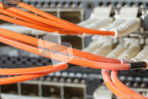 Image of network cables