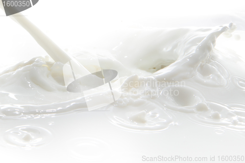 Image of milk splash