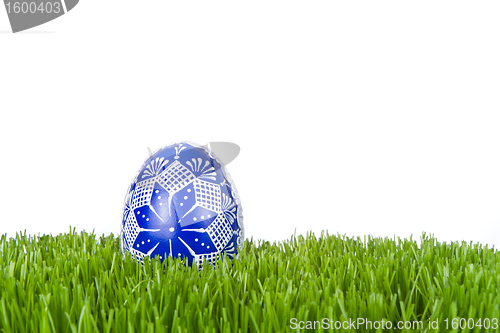 Image of easter egg in grass