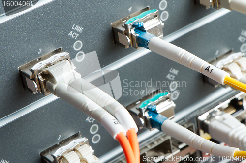 Image of network cables