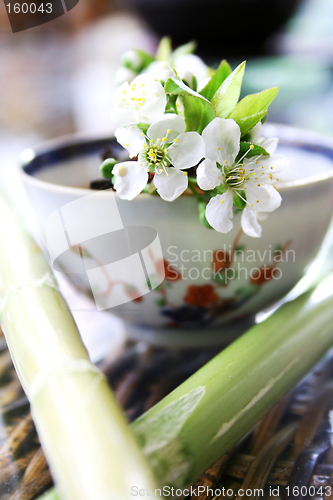 Image of Tea Still Life