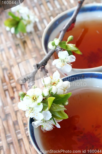 Image of Tea and Blossom