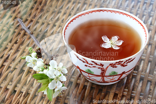 Image of Tea and Blossom