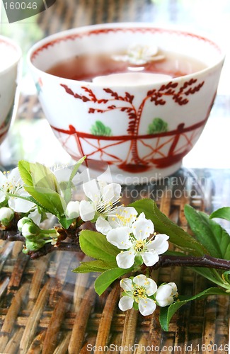 Image of Tea and Blossom