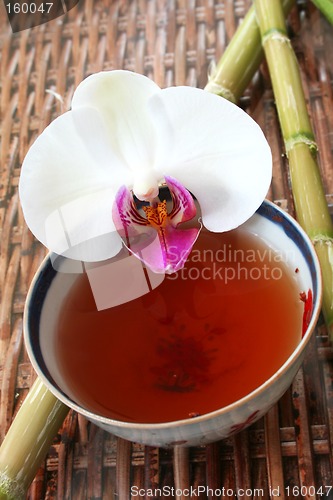 Image of Tea and Orchid