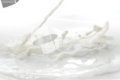 Image of milk splash
