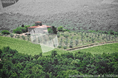 Image of Typical Tuscan landscape