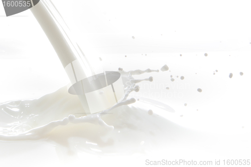 Image of milk splash