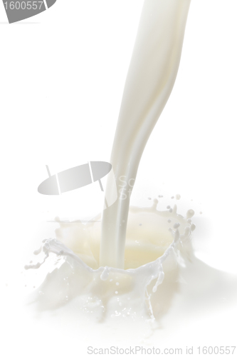 Image of milk splash