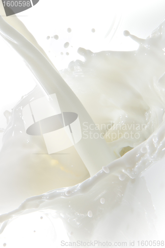 Image of milk splash