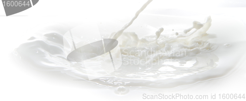 Image of milk splash