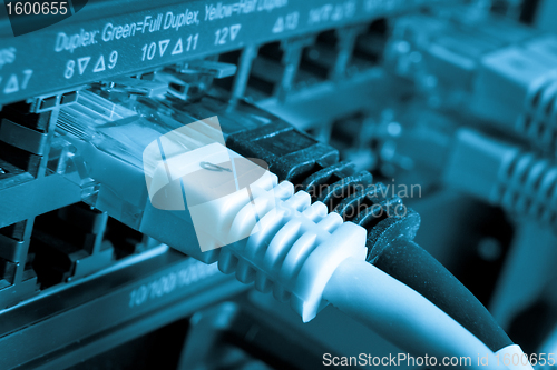 Image of network cables