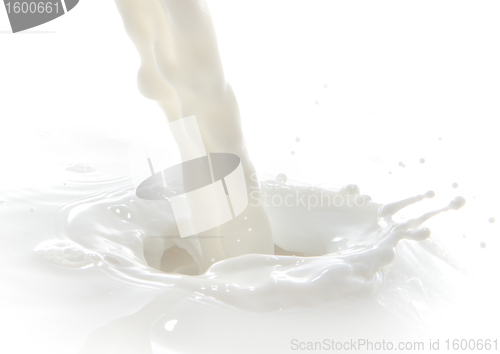 Image of milk splash