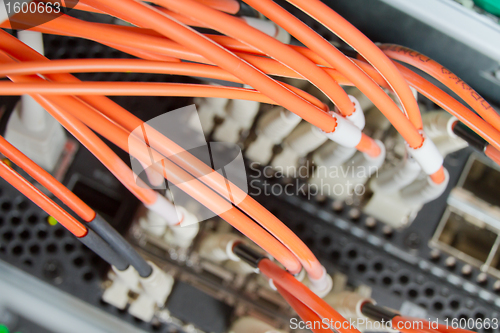 Image of network cables