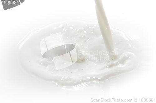 Image of milk splash