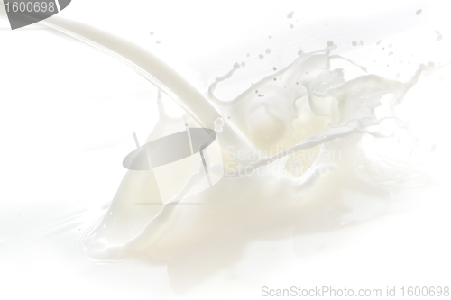 Image of milk splash