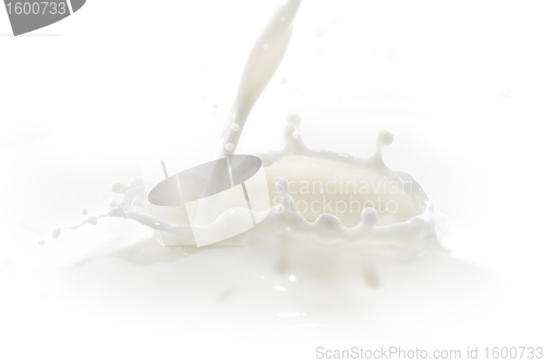 Image of milk splash