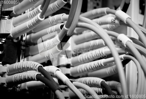 Image of network cables