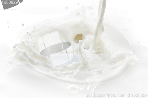 Image of milk splash