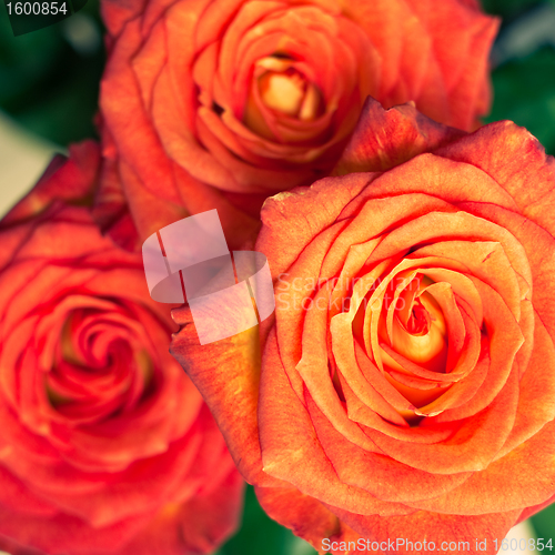 Image of rose bouquet