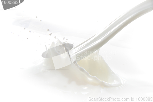 Image of milk splash