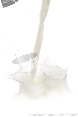 Image of milk splash