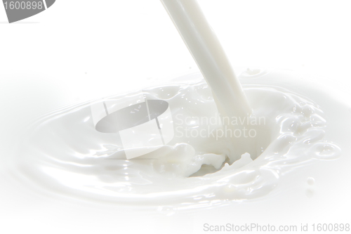 Image of milk splash