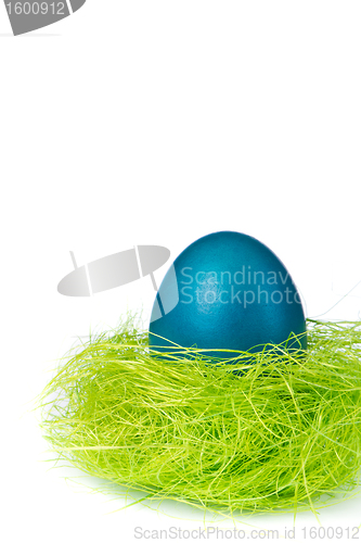 Image of easter egg in nest