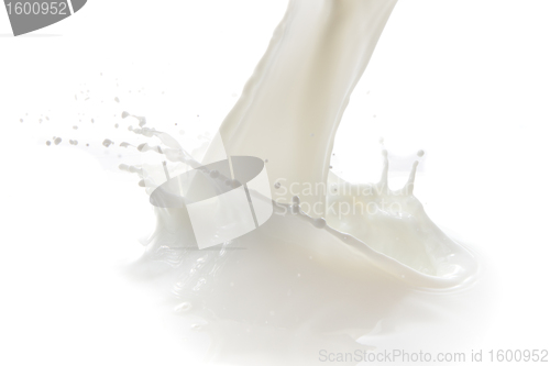 Image of milk splash