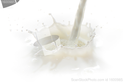 Image of milk splash