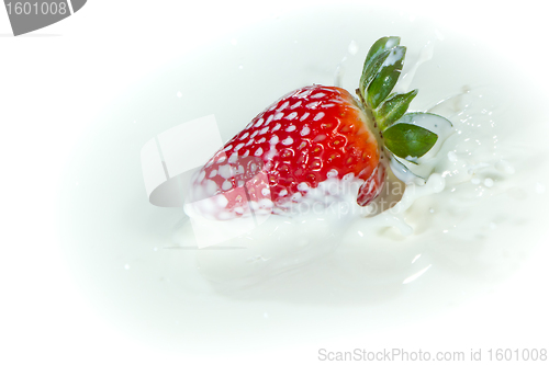 Image of strawberry splashing into milk