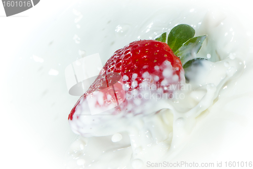 Image of strawberry splashing into milk