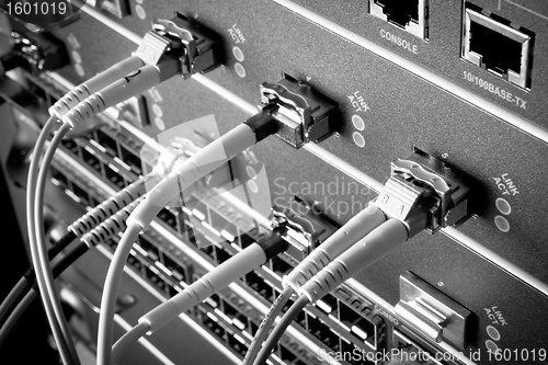 Image of network cables