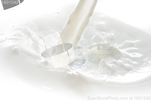 Image of milk splash