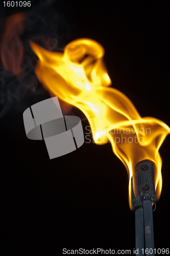 Image of Fire