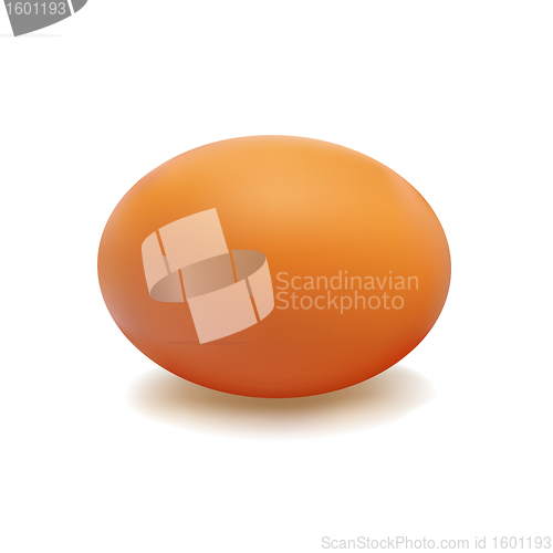 Image of Egg Brown